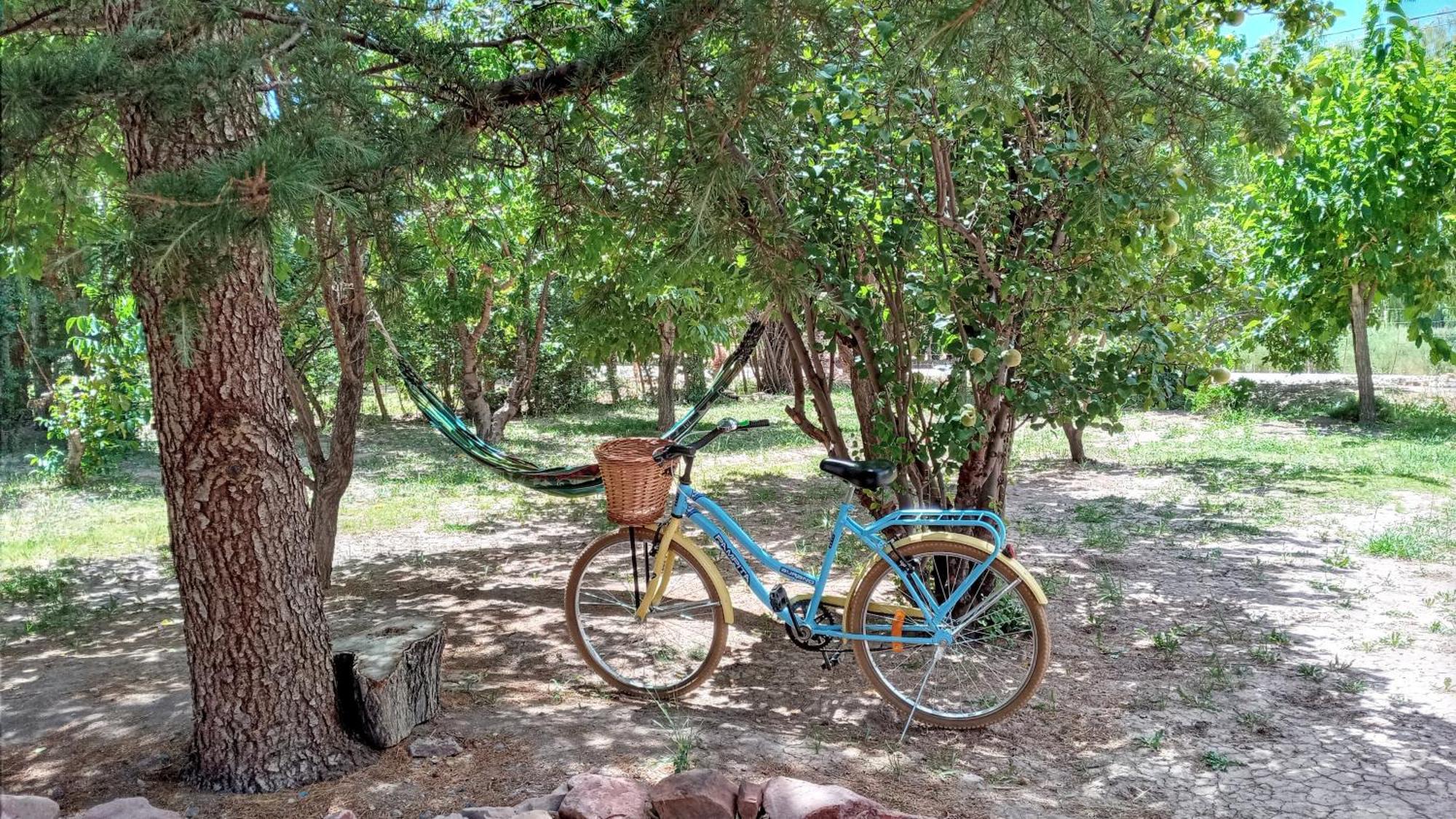 Aire De Barreal Hostel Andino Dış mekan fotoğraf