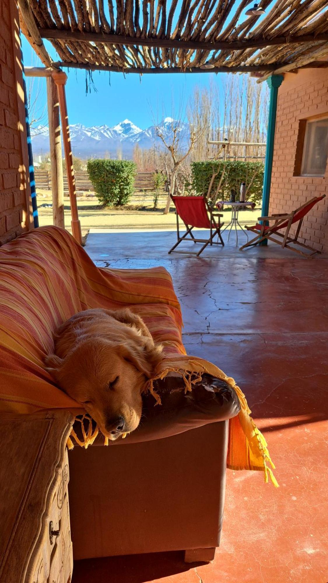 Aire De Barreal Hostel Andino Dış mekan fotoğraf